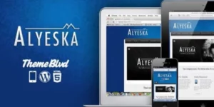 ALYESKA RESPONSIVE WORDPRESS THEME 3.1.18破解版主题