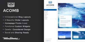 Acomb Responsive Blogging WordPress Theme 1.0.7破解版主题