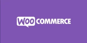 Advance Ecommerce Google Analytics for WooCommerce Premium 3.7.1破解版插件
