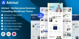 Advisol Business Consulting WordPress Theme 1.0破解版主题