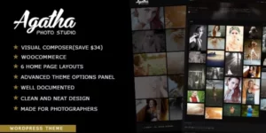 Agatha | Art Gallery Photography Theme 2.4.4破解版主题