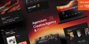 Agencium | Creative Agency Portfolio WordPress Theme 1.0.7破解版主题
