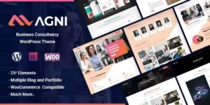 Agni Business Consulting 1.1.0破解版主题