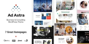 Ajani Business Consulting WordPress theme 1.1.2破解版主题