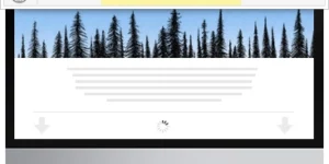 Ajax Load More: Single Posts Addon 1.5.3破解版插件
