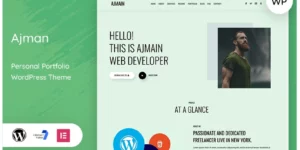 Ajman – Personal Portfolio WordPress Theme 1.0.0破解版主题