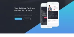 Alianzy Business Partnership WordPress Elementor Theme WordPress Theme 1.0.0破解版主题