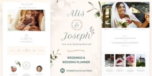 Alis Wedding Planner WordPress Theme 13.3破解版主题