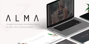 Alma Minimalist Multi-Use WordPress Theme 2.4.2破解版主题