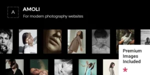 Amoli Fashion Photography Theme 1.0破解版主题