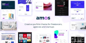Amos Creative WordPress 1.3.0破解版主题