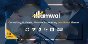Amwal | Consulting Finance WordPress Theme 1.3.8破解版主题