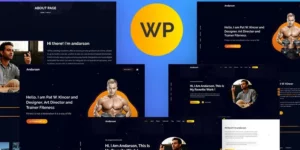 Andarson Personal Portfolio Responsive WordPress Theme 2.0.0破解版主题