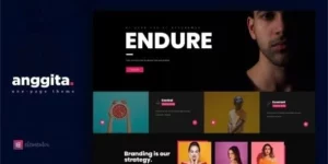 Anggita One Page Portfolio Theme 1.1破解版主题