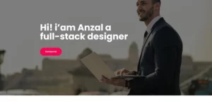 Anzal Personal Portfolio WordPress Theme 1.0.0破解版主题