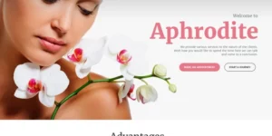 Aphrodite Beauty SPA Salon Responsive WordPress Theme 1.0.0破解版主题