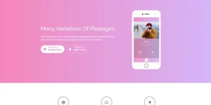 Appin Apps Responsive WordPress Theme 1.0.0破解版主题
