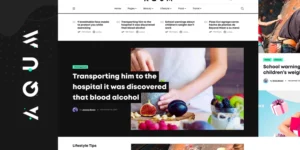 Aqum | Contemporary News and Magazine WordPress Theme 1.0.0破解版主题