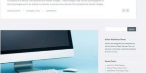 Array Themes Author WordPress Theme 4.1.4破解版主题