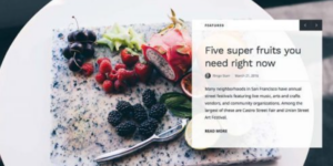 Array Themes Baseline WordPress Theme 1.2.5破解版主题