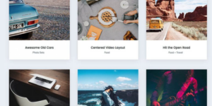 Array Themes Checkout WordPress Theme 2.0.1破解版主题