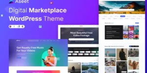 Aseet Digital Marketplace WordPress Theme 1.0.1破解版主题