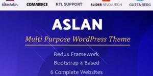 Aslan | Multi-Purpose Elementor WordPress Theme 1.1破解版主题
