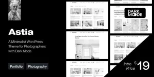 Astia Minimal Portfolio WordPress Theme for Photographers 1.0.5破解版主题