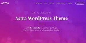 Astra WordPress Theme 4.7.3破解版主题