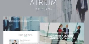 Atrium Finance Consulting WordPress Theme 2.7破解版主题