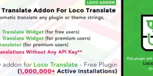 Automatic Translate Addon For Loco Translate 1.4.1破解版插件