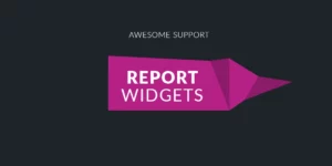 Awesome support Report Widgets 2.0.4破解版插件