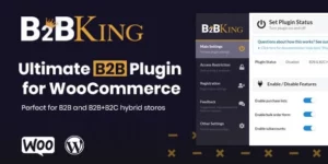 B2BKing The Ultimate WooCommerce B2B Wholesale Plugin 5.1.25破解版插件