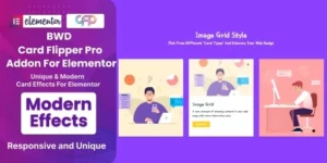 BWD Card Flipper Pro Addon For Elementor 1.0破解版插件