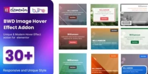 BWD Image Hover Effect addon for elementor 1.1破解版插件