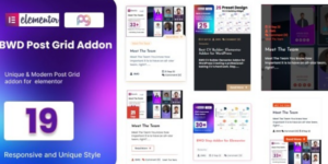 BWD Post Grid Addon for Elementor 2.1破解版插件
