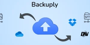 Backuply Pro Backuply is a WordPress Backup Plugin 1.1.9破解版插件