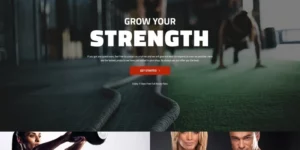 Barbellox Gym Multipurpose Modern WordPress Elementor Theme WordPress Theme 1.0.0破解版主题