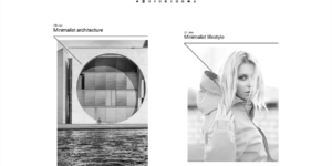 Barebone Brutalist Theme WordPress 20.13.1破解版主题
