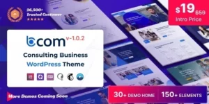 Bcom Consulting Business 1.0.9破解版主题