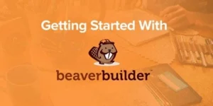 Beaver Builder Child Theme 1.0.0破解版主题