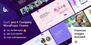 Becca SaaS and Software Company Theme 1.0.3破解版主题