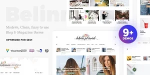 Belinni Multi-Concept Blog / Magazine WordPress Theme 1.5.1破解版主题