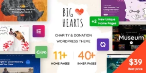 BigHearts Charity Donation WordPress Theme 3.0.9破解版主题