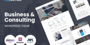 BigVenture Business Consulting WordPress Elementor Theme WordPress Theme 1.0.1破解版主题