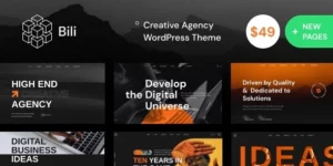 Bili Creative Agency WordPress Theme 1.1.6破解版主题