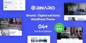 Binario Digital Solutions WordPress Theme 1.2.0破解版主题