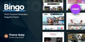Bingo 3.3破解版主题