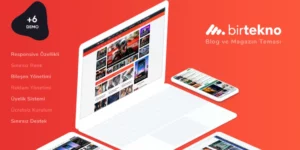 BirTekno WordPress Responsive Blog and Magazine Theme 4.1破解版主题
