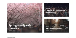 BitNews Blog Magazine News Portal WordPress Theme 1.0.0破解版主题